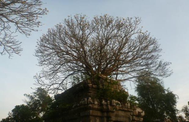 Off beaten tracks, Siem reap cycling tour